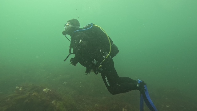 Plongeur professionnel en mission d'inspection technique et relevés sous-marins en Bretagne